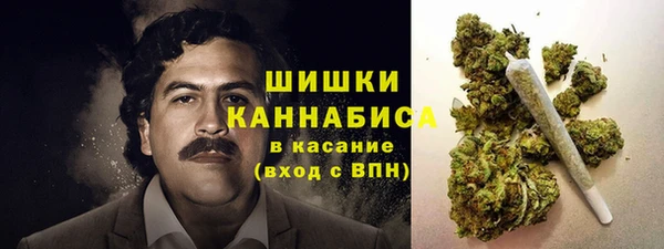 каннабис Белокуриха