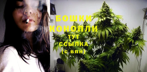 гидра Ступино
