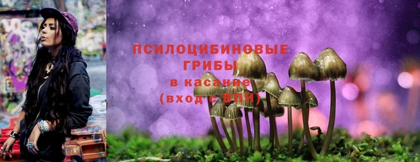 прущий лед Белоозёрский