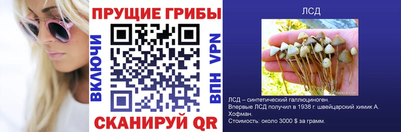 Псилоцибиновые грибы Magic Shrooms Горнозаводск